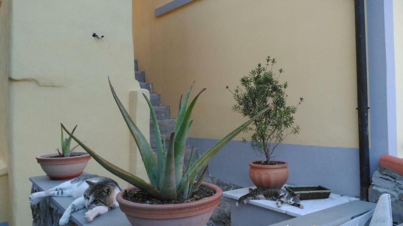 Hotel La Stanzetta Viola Fezzano  Zewnętrze zdjęcie